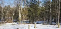 The Bear Den (Secluded in Amish Country and peaceful)