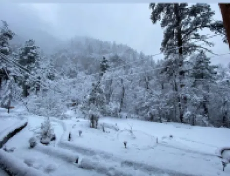 Oak Creek Retreat - Cozy Cabin by the River. Fish Hike Swim Pets OK