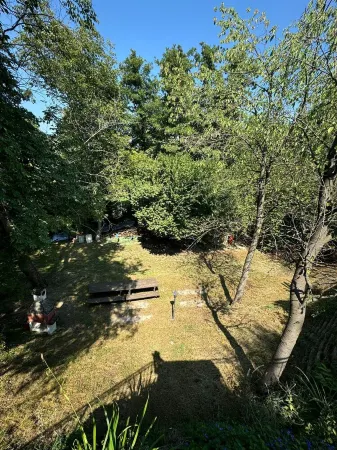 The Green Window - Apartment