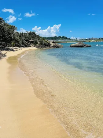 Charming 3-bedroom house with large backyard , WiFi Lucea. Access  pool and Gym