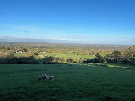 Cosy cottage in Bollington offering an escape to the Peak District and beyond. Отели в г. Макклсфилд
