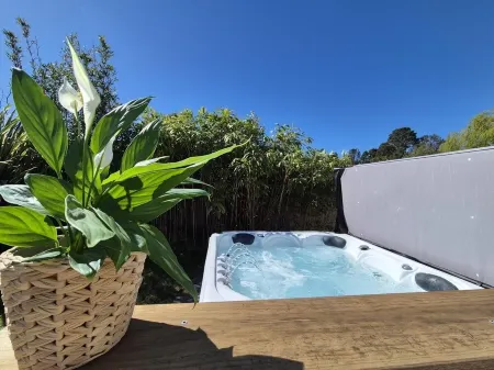 Charming villa - Swimming pool - Spa - Pond