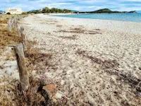 Invit Arti - apartment in villa Hotels in Capoterra