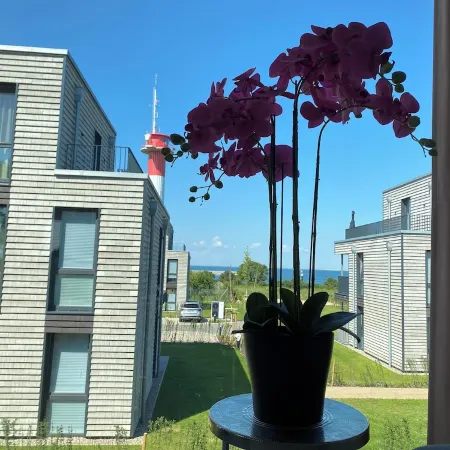 BeltBlick - New building with Baltic Sea view and sauna