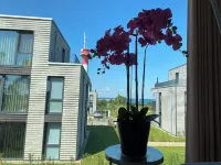 BeltBlick - New building with Baltic Sea view and sauna