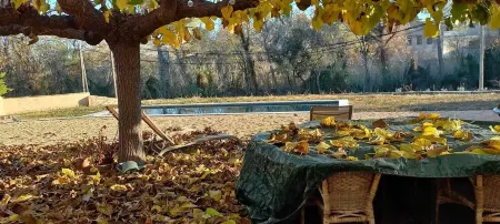 Field and Vine Shelter Отели в г. Alt Penedes