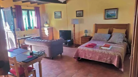 THE OLD WOMAN'S HOUSE