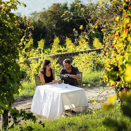 Cozy villa with pool nestled among the ancient olive trees of Cilento