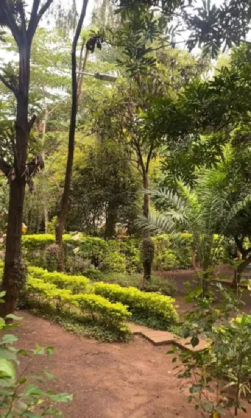 Jutland in Moshi Urban