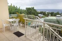 THE BAMBOO F1 St Joseph