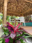 Gite grenadille Martinique private pool, naturist residence