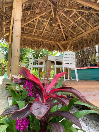 Gite grenadille Martinique private pool, naturist residence