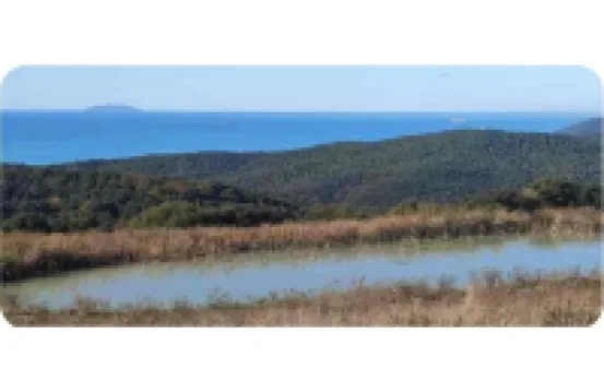 Charming Apartment in the Heart of Tuscany with Sea Views