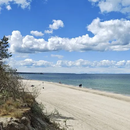 Ostsee-Urlaub-Zempin is perfect for your time-out, right by the coastal forest.