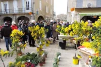 Le Val d'Amour Hotels in Valreas