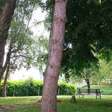 Studio Marcel Dassault Tout Confort Others