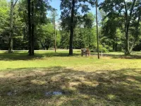 Peaceful Cabin By The Lake