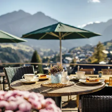 Hotel Birkenhöhe Отели в г. Брегенц