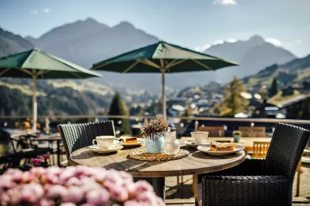 Hotel Birkenhöhe Отели в г. Брегенц