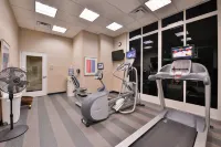 Holiday Inn KANSAS CITY AIRPORT by IHG - Gym