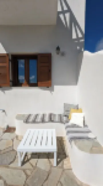 Under The Palm Tree Boutique Studios - Homestays