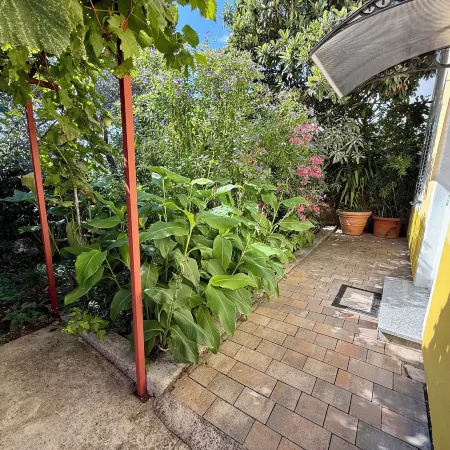 Apartmani Ruža