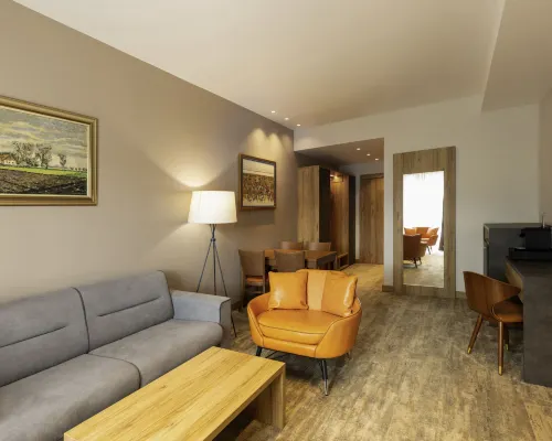 Movenpick Resort and Spa Fruske Terme Rooms Photos