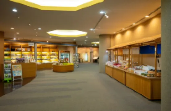 SPA 度假村酒店 - 秋之宮山莊 湯澤市酒店