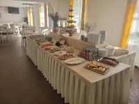 빌라 포드카르파츠카  호텔
