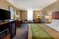 埃爾森特羅8號州際公路舒適套房飯店