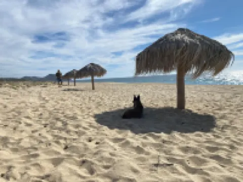 Villa Gardenia - Casa Jazmín directly on the sea