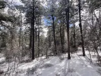 Views! in the Pines. Custombuilt, 2-Bdrm Home, Privacy. 3 Miles to Town.