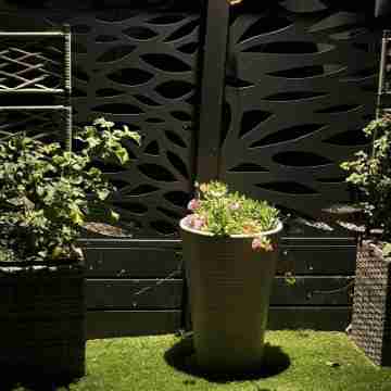 Wonky 2 A Cosy Hideaway in the Heart of Cheshire Hotel Exterior