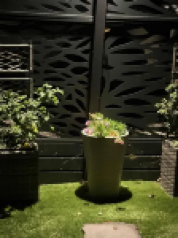 Wonky 2 A Cosy Hideaway in the Heart of Cheshire