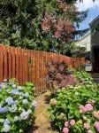 Unique Luxury Central Historic Landmark Home