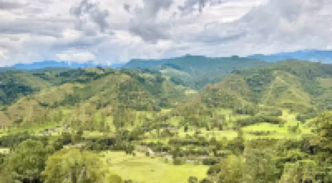 El Mirador del Cocora