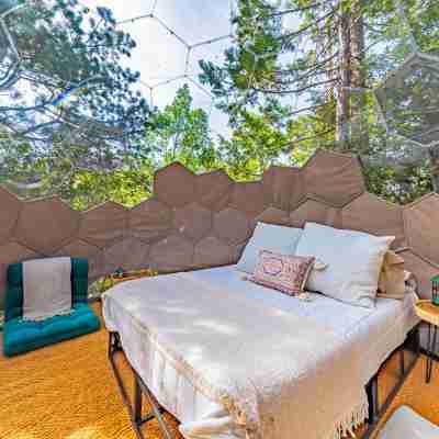 Lakefront Cabin with Private Beach, Redwood Dock, Kayaks & Stargazing Dome Rooms