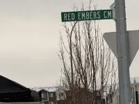 Cozy 1-Bedroom Apartment in Calgary with Kitchenette