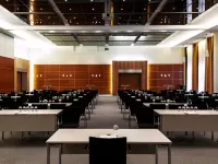 Pullman Eindhoven Cocagne - business