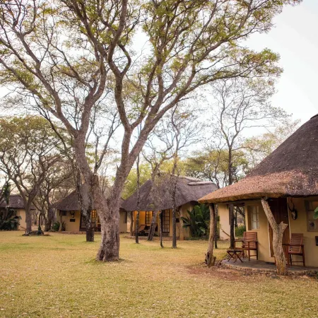 Mziki Safari Lodge