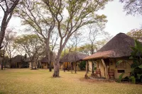 Mziki Safari Lodge - Flughafentransfer