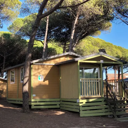 Camping la Tamarissière