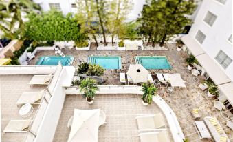 Viajero Miami