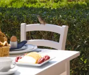 Sandy Beach Hotel & Spa - breakfast