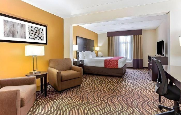 Comfort Inn & Suites Tampa North I-75