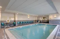 Hampton Inn & Suites Springfield Downtown - Swimmingpools