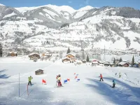 Alpine Apartment Near Kaprun - Mountain view