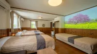 Healing Inn White Pension - Hot Springs