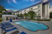 Best Western Ocala Park Centre - Pet friendly