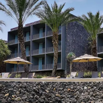 Huayacán Cuernavaca Curamoria Collection